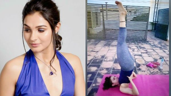 பேண்ட் கிழிஞ்சுருச்சா.. ஆண்ட்ரியா யோகா செய்யும் போட்டோவை பார்த்து பதறிய ஃபேன்ஸ்!