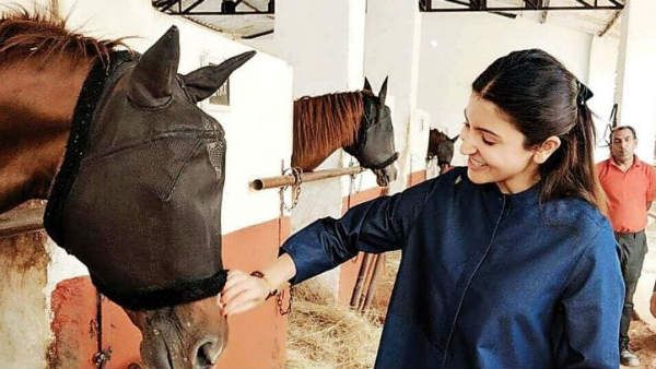 கூண்டுக்குள் அடைபட்டு இருக்கும் விலங்குகள்… ஆதங்கங்களை கொட்டித் தீர்த்த பிரபல நடிகை !