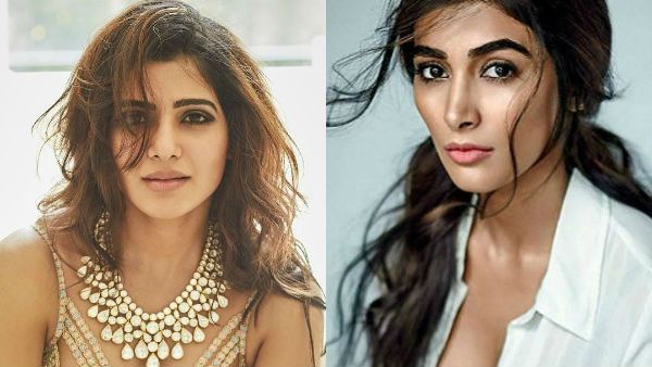 தல தளபதி ரசிகர்கள் சண்டையை தாண்டிய சமந்தா, பூஜா ரசிகர்கள் சண்டை.. குவிகிறது சப்போர்ட்!