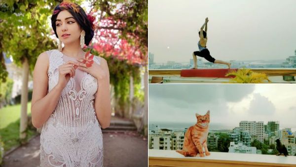 இந்தப் பக்கம் பூனை..அந்த பக்கம் காகம்..வைரலாகும் பிரபல நடிகையின் மொட்டை மாடி யோகா..என்னா வளைவு?