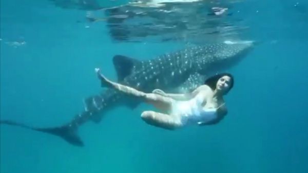 சுறாவுடன் நீந்தியா கத்ரீனா கைஃப்.. மெர்சலான வீடியோ.. வாய் பிளந்த ரசிகர்கள் !