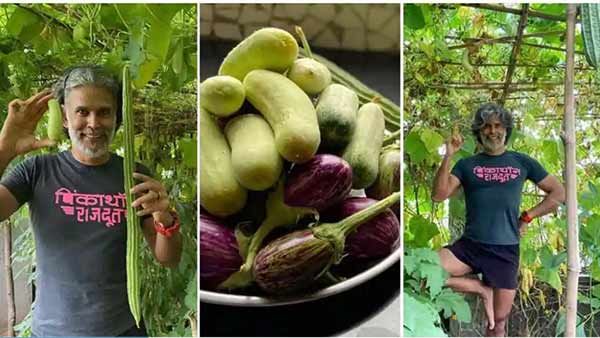 லாக்டவுனுக்கு முன்னாலதான்.. அதுக்குள்ள விளைஞ்சாச்சு.. விவசாயியாக மாறிய பிரபல வில்லன் நடிகர்!