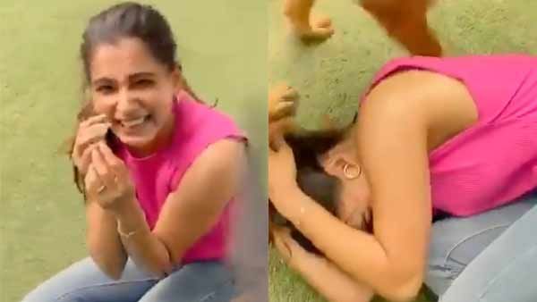 பாவம் சமந்தா.. செல்லப் பிராணிகளிடம் இப்படி சிக்கித் தவிக்கிறாரே.. என்ன ஒரு க்யூட் வீடியோ!