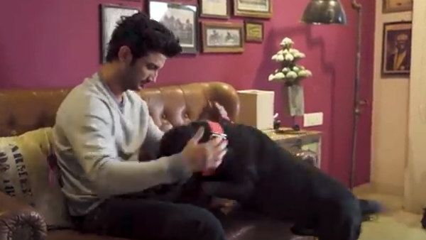 நடிகர் மரணத்தால் தவிக்கும் செல்ல நாய் ஃபட்ஜ்.. உண்ணாமல் உறங்காமல் ஏக்கதுடன்.. கலங்க வைக்கும் போட்டோ!