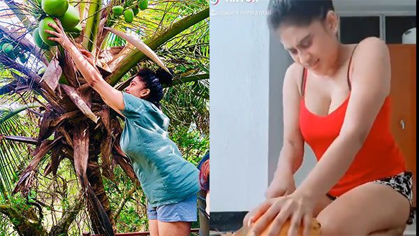 இளநீரை வெட்டும் இலங்கை நடிகை.. இரட்டை அர்த்த வசனத்தில் குவியும் கமெண்ட்ஸ்.. வைரலாகும் வீடியோ!