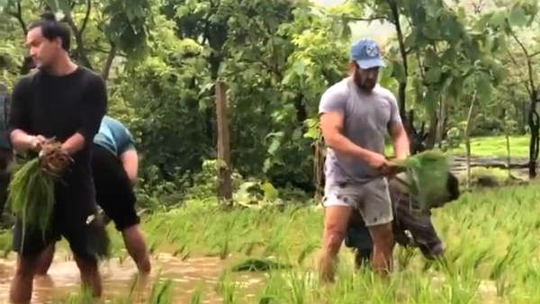 விவசாயியாக மாறிய பாலிவுட் நடிகர்.. வைரலாகும் வீடியோ !