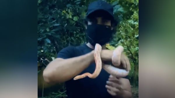 விஷத்தோட ஏன் விபரீதம்? பாம்பைக் கையில் வைத்தபடி விளையாடும் பிரபல நடிகர்.. ரசிகர்கள் எச்சரிக்கை!