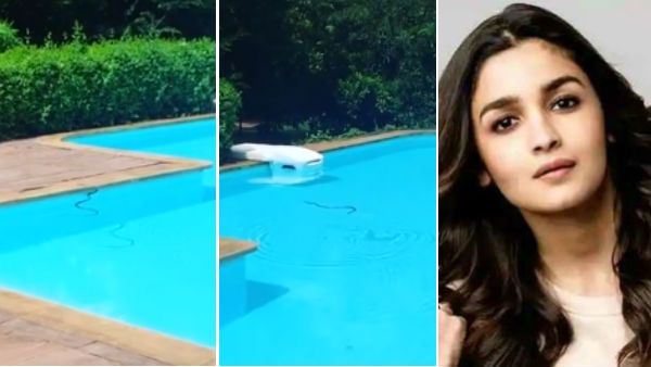 நீச்சல் குளத்தில் நீந்தி விளையாடிய பாம்பு.. வைரலாகும் ஆலியா பட் அம்மா எடுத்த வீடியோ!