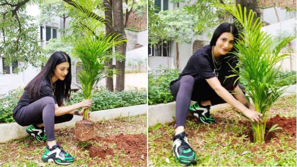 விஜயை தொடர்ந்து மகேஷ் பாபுவின் சவாலை ஏற்ற ஸ்ருதி ஹாசன்.. தோட்டத்தில் மரக்கன்றை நட்டார்!