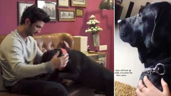 50 நாட்கள் கடந்து விட்டன.. இன்னமும் சுஷாந்துக்காக காத்திருக்கும் ஃபட்ஜ்.. நெஞ்சை உலுக்கும் வீடியோ!