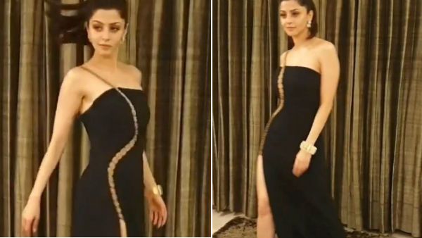 தொடை தெரிய ஒய்யார பூனை நடை போட்ட வேதிகா.. கிறங்கிபோய் நிற்கும் ரசிகர்கள் !