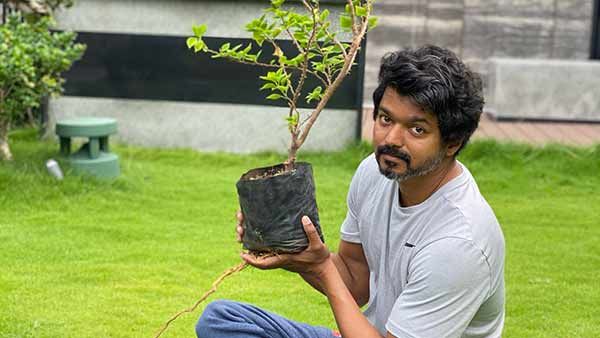 மரம் நடும் போட்டோவில் இதை கவனிச்சீங்களா.. விஜய் வைத்திருக்கும் குறியீடு!