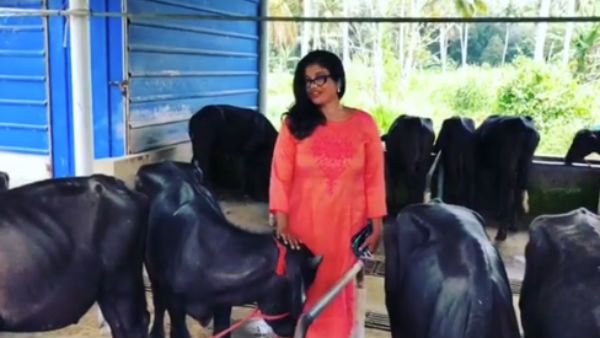 புரட்டிப்போட்ட கொரோனா.. எருமை வளர்ப்பில் இறங்கிய பிரபல நடிகை.. தீயாய் பரவும் போட்டோஸ்!