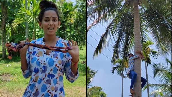 துப்பட்டாவை கயிறாக்கி.. அவ்வளவு உயர தென்னை மரத்தில் அசால்ட்டாக ஏறிய பிரபல நடிகை.. ரசிகர்கள் ஷாக்!