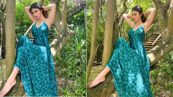 காட்டுக்குள் மரத்தில் ஏறி மல்லாக்கப்படுத்தபடி.. வைரலாகும் பிரபல நடிகையின் கொள்ளை அழகு போட்டோஸ்!