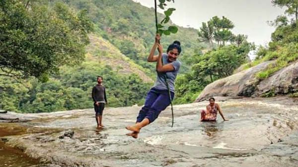 நடுக்காட்டில் அந்தரத்தில் தொங்கும் சாய் பல்லவி.. இதுக்கு பேரு தான் டர்வின்ஸ் தியரி!