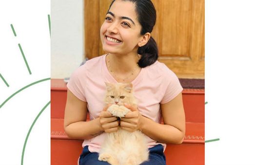 பூனை குட்டியை மடியில் வைத்து க்யூட் போஸ்..இதயத்தை பரிசளிக்கும் ரசிகர்கள் !