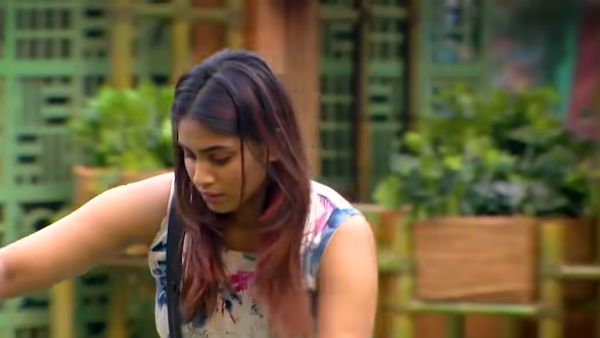 ஏய்.. பிஸிக்கல் வயலன்ஸ் வேணாம்னு பார்க்குறேன்.. முழு ரவுடியாக மாறிய ஷிவானி.. ஆத்தி.. என்னா சவுண்டு!