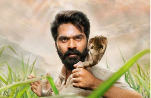 பாம்பு பிரச்னை.. அதுக்கு ஆதாரம் இருந்தா காட்டுங்க.. சிம்புவுக்கு வனத்துறை மீண்டும் நோட்டீஸ்!