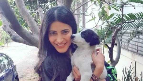 செல்லப்பிராணிகளை கொஞ்சும்.. செல்லக்குட்டி ஸ்ருதிஹாசன்!‘