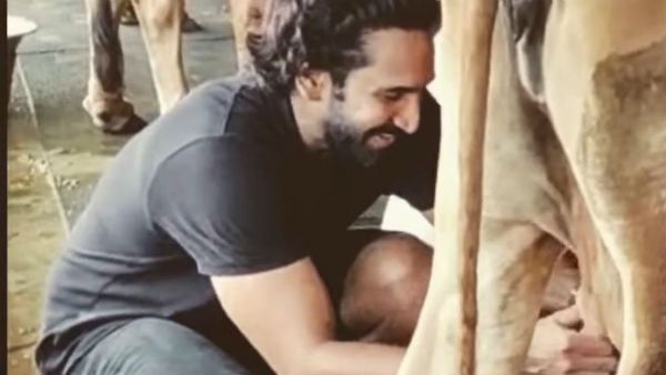 பால் கறக்கப் போய் மாட்டிடம் ஏடாகூடமாக சிக்கிய பிரபல தமிழ் நடிகர்... பால் குடிக்க நினைச்சது குத்தமா!