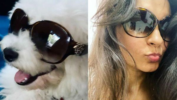 செல்ல நாயுடன் செம கூலாக போஸ்…ரெண்டும் ஒரே மாதிரி தான் இருக்கு!