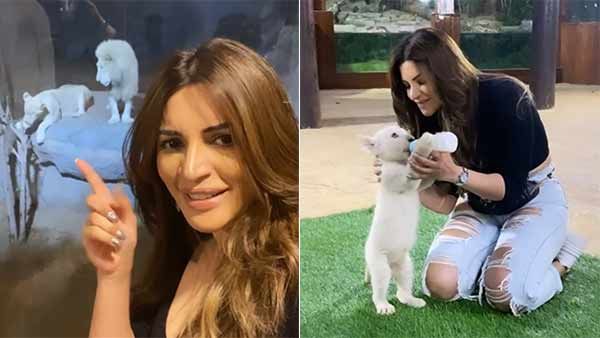 சிங்கக் குட்டிக்குப் புட்டிப்பால்.. மிரட்டும் பிரபல நடிகை.. வீட்டுக்குக் கொண்டு போக ஆசையாம்ல!