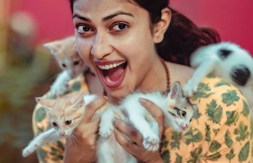 முதுகுல ஒண்ணு.. கையில ரெண்டு.. கழுத்துல ஒண்ணு.. அமலா பாலை சுற்றும் பூனைக்குட்டிகள்!