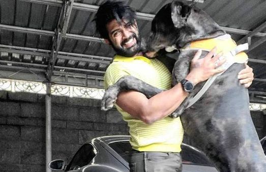 அடேங்கப்பா.. ஆள் உயரத்துக்கு இருக்கே..அருண் விஜயின் செல்ல நாய் ருத்ரா!