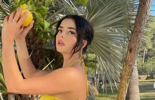 இதுல எது எலுமிச்சை பழம்னே தெரியலையே.. டெமி ரோஸை அப்படி பார்த்து மிரளும் நெட்டிசன்ஸ்!