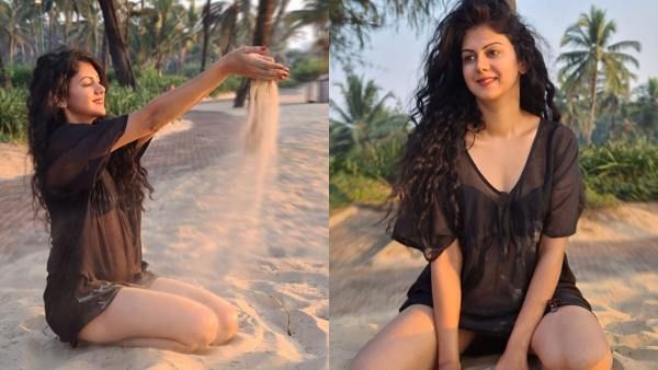 அதே கிளாமரோட திரும்பி வந்துட்டேனு சொல்லு...ஜெயம் ரவி பட நாயகி ரிட்டன்ஸ்