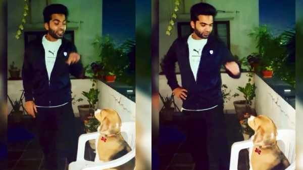 எனக்கு கடவுள் கொடுப்பாரு...நாயுடன் காதலர் தினம்...வைரலாகும் சிம்பு வீடியோ