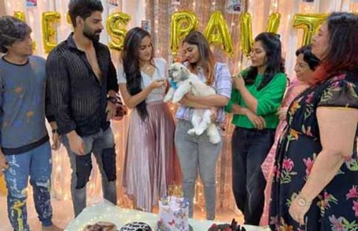 நாய்க்குட்டிக்கு பிறந்தநாள் கொண்டாடிய ஷிவானி..ஓடோடி வந்த பாலாஜி.. அம்மாவும் சமாதானம் ஆகிட்டாங்க போல!