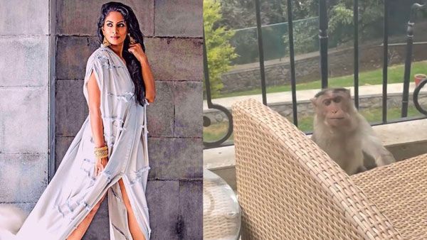 என்னோடதை பறிச்சு.. அப்படியே.. குரங்குகளிடம் சிக்கிய சிரேயா ரெட்டி.. பரபர வீடியோ!