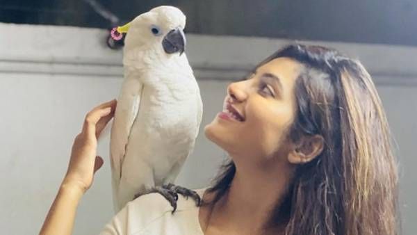 இதுல எது 