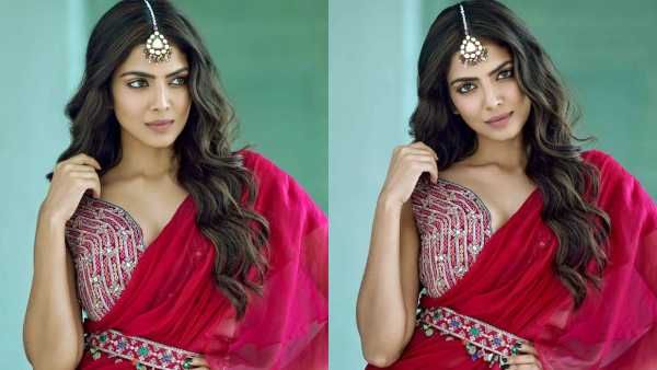 என்ன ஒரு என்ன ஒரு அழகியடா... மாஸ்டர் நாயகியைப் பார்த்து சொக்கிப் போன ரசிகர்கள்!