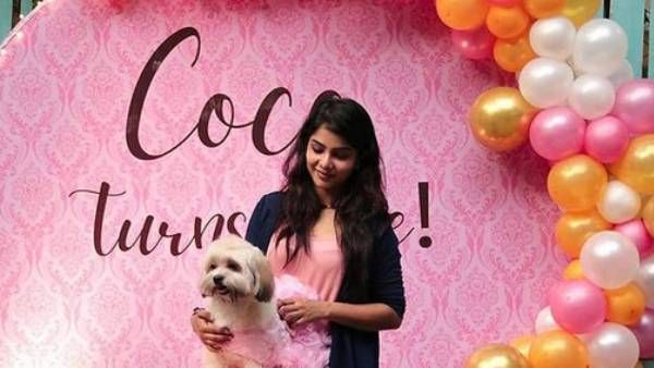 நாய்க்கு பிறந்தநாள் கொண்டாடிய குக் வித் கோமாளி பிரபலம்...வைரலாகும் ஃபோட்டோஸ்