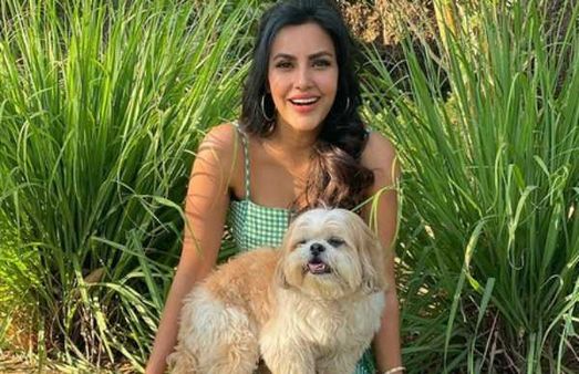 ஸ்கூல் யூனிபார்மில்.. நடுக்காட்டில் நாயுடன் பிரபல நடிகை !