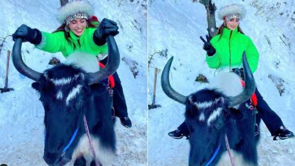 எருமை மேல் ஏறி அப்படியொரு போஸ்.. லெஜண்ட் சரவணா ஹீரோயின் போட்ட லேட்டஸ்ட் போட்டோஸ்.. ஏன் தெரியுமா?