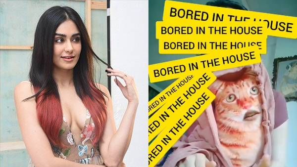 பூனை முகமூடியுடன்… குதித்து குதித்து ஆட்டம் போட்ட அடா சர்மா… குவியும் லைக்குகள்!