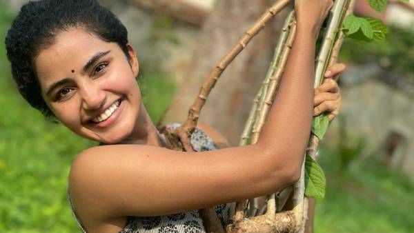 கப்பக்கிழங்கை வேரோடு பிடுங்கி எடுத்த கேரளத்து கப்பக்கிழங்கு!