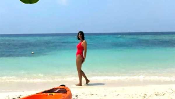 இணையத்தை அதிர வைக்கும் விஷாலின் முன்னாள் காதலியின் பிகினி ஃபோட்டோ