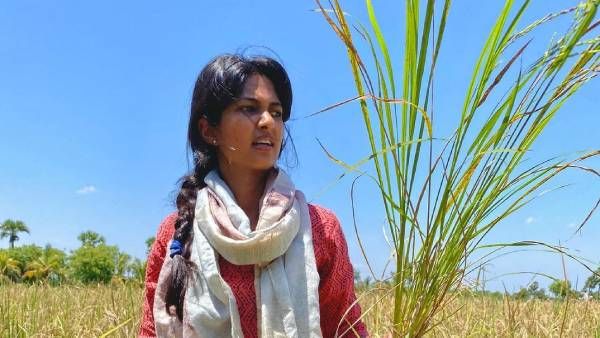 ஒரு கையில் நெற்கதிர்… ஒரு கையில் கதிரருவாள்… விவசாயியாக மாறிய கீர்த்தி பாண்டி!