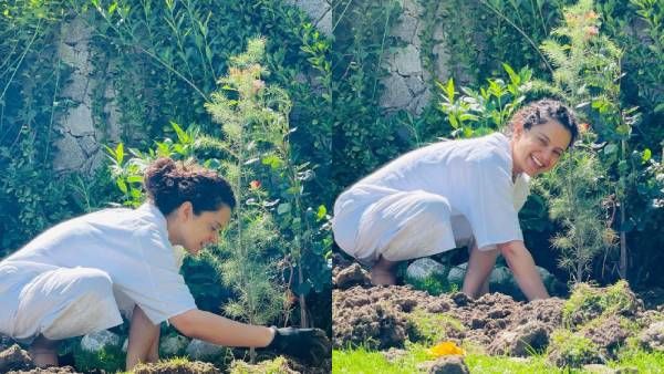 சும்மா கரிச்சுக் கொட்டாதீங்க.. 20 மரக்கன்றுகளை நட்டு அசத்திய ’தலைவி’ ஹீரோயின் கங்கனா ரனாவத்!