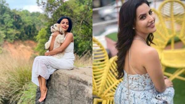 யாருமில்லாத நடுக்காட்டில் பிரியா ஆனந்த்.. அந்த நாயாக நான் இருக்கக் கூடாதா!