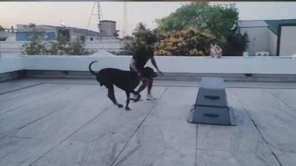 செல்ல நாயுடன் ஜாலி பயற்சி...லாக்டவுனிலும் அருண்விஜய் பிஸி