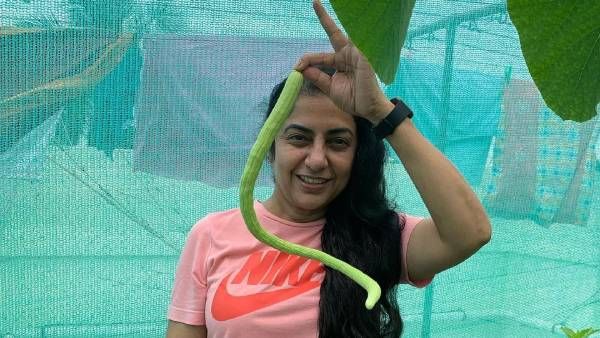 எங்க வீட்டு மாடித்தோட்டத்தில் விளைந்த ப்ரஷ் காய்கறிகள்.. நடிகை சுஹாசினி !