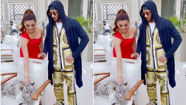 புலிக்குட்டியை பூனைக்குட்டிப் போல் தடவிப் பார்த்த பிரபல நடிகை.. செம தில்லு தான் போங்க!