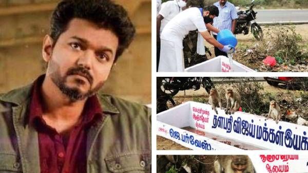 குரங்குகளுக்கு தண்ணீர் தொட்டி... விஜய் மக்கள் இயக்கத்திற்கு குவியும் பாராட்டுக்கள்