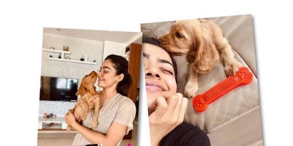 3 நொடிகளில் காதலில் விழுந்துட்டேன்...ஓப்பனாக சொன்ன சுல்தான் நாயகி